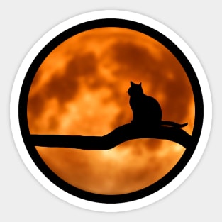 Cat on branch Sticker